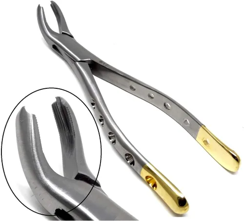 Vista 8 de Pinzas universales de extracción dental alemana, para extraer molares inferiores del hueso alveolar, mandíbulas dentadas, hechas de acero inoxidable