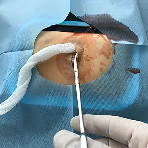Vista 3 de Almohadilla de sutura para estudiantes de medicina, modelo de práctica de incisión de absceso y drenaje, almohadilla de práctica de sutura