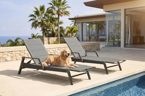 Vista 16 de PURPLE LEAF Sillones de día al aire libre con cojín para tomar el sol, tumbonas reclinables para bronceado, juego de 2, aluminio, para patio
