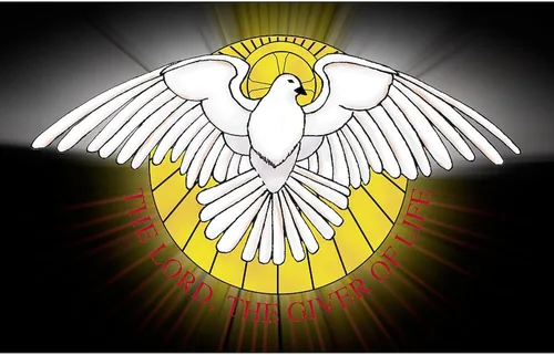 Vista 2 de CafePress Pegatina rectangular de espíritu santo para parachoques de coche ovalada Blanco - Pegatina Rectángulo Espíritu Santo