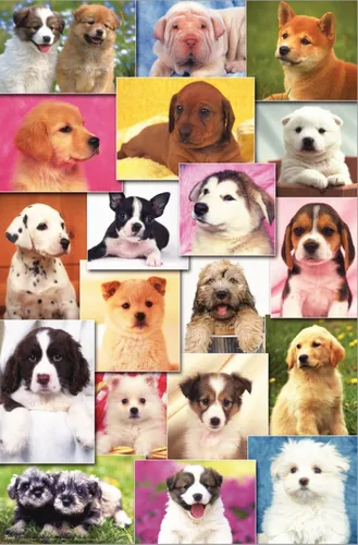 Vista 2 de Trends International Keith Kimberlin - Póster de pared de cuadrícula de cachorros, 14.72 x 22.37 pulgadas, lienzo estirado