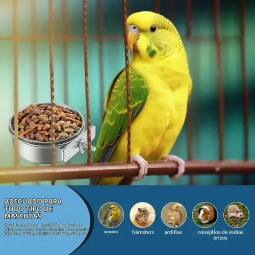 Vista 6 de 2 Piezas de Recipientes para Alimentación de Aves de Acero Inoxidable, Tazón Pequeño para Alimentar Aves, Tazón para Comida de Loros de Acero