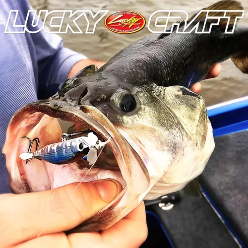 Vista 6 de LUCKY CRAFT Puntero de tornillo 80, cebo de pesca Jerkbait