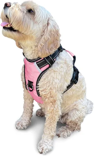 Vista 36 de Arnés antitirones para perro pequeño con 2 hebillas de liberación rápida y mango de fácil control, chaleco suave reflectante sin estrangulamiento