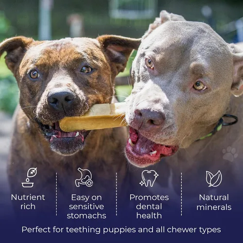Vista 2 de Devil Dog Pet Co. Himalayan Yak Cheese - Masticables para perros, pequeños, paquete de 4, 100% naturales y saludables, sin lactosa, golosinas