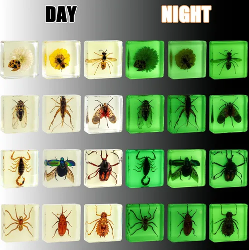 Vista 2 de Juego de muestras de insectos, colección de insectos, regalo educativo científico para niños de 3 a 8 a 12 años