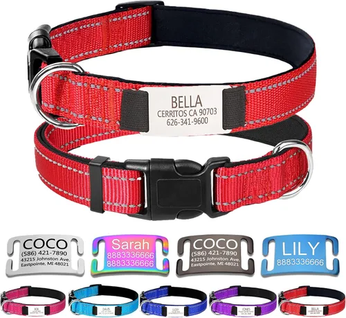 Vista 8 de Collar de perro de nailon personalizado con placa de nombre grabada, S, negro Custom engraved name & phone; reflective stitching, adjustable