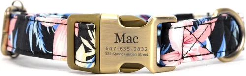 Vista 12 de Collar de perro personalizado con nombre y número de teléfono grabado, collar ajustable personalizado para cachorros, collar de algodón orgánico