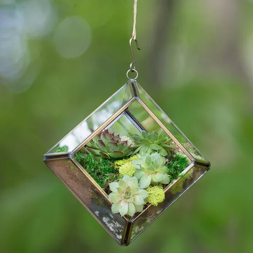 Vista 3 de D'Eco Glass - Mini exhibición de diamantes (5 x 5 x 3.5 pulgadas), terrario para macetas colgantes, decoración de primavera y Pascua, hogar y boda