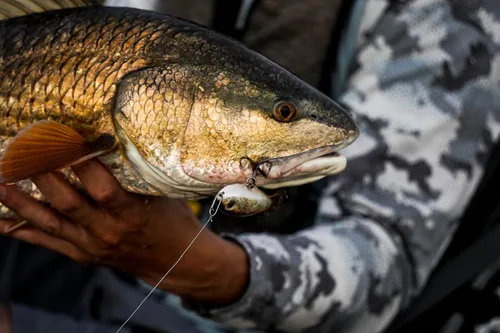 Vista 6 de Clips de pesca de velocidad de Top Water Co. - Acero inoxidable duradero, conector de señuelo rápido (varios tamaños) sizes, break strengths, pack
