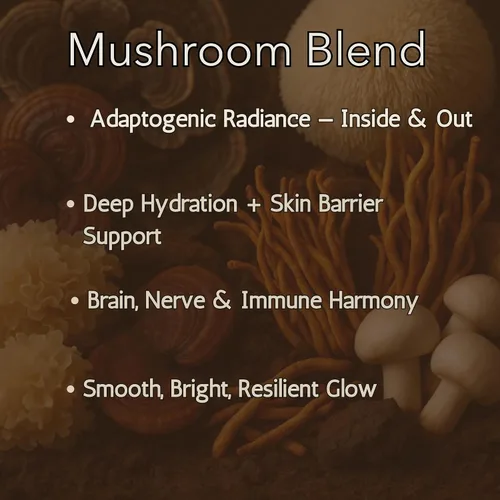 Vista 2 de Crema compleja de hongos – 6 hongos para el sistema inmunológico y la concentración Reishi Lion's Mane Chaga Cordyceps Pavo Tail Tremella 4 oz