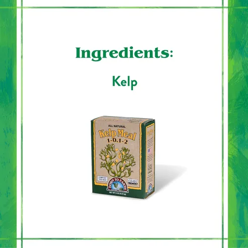 Vista 4 de Down To Earth All Natural Fertilizers Organic Kelp Meal - 1-0.1-2, 0.5 lb