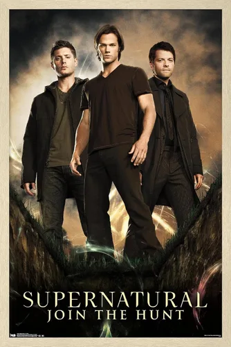 Vista 10 de Trends International Supernatural - Póster de pared de grupo, 14.725 x 22.375 pulgadas, versión con marco de madera tipo granero