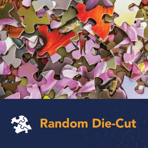 Vista 8 de Bits and Pieces - Paquete múltiple 4 en 1 de 300 piezas de rompecabezas para adultos - Juego de rompecabezas de 300 piezas de Nancy Wernersbach