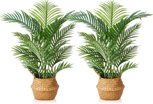 Vista 9 de LOMANTO Planta de palma falsa Majesty, plantas artificiales de 2 pies