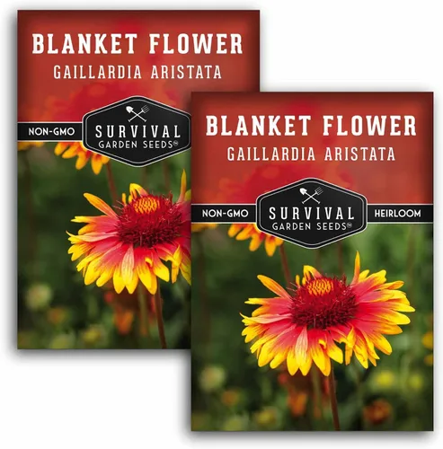 Vista 10 de Survival Garden Seeds - Semillas de flores para plantar - Paquete con instrucciones para plantar y cultivar Gaillardia Pulchella en el huerto de tu