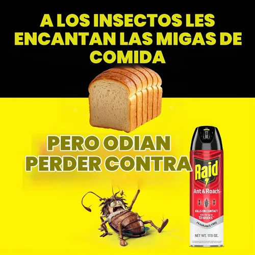 Vista 5 de Raid® Ant & Roach Killer Spray, sin fragancia, 17.5 onzas, paquete de 2