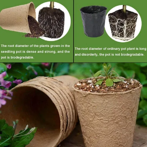 Vista 4 de 3T GROUP 50 macetas de turba de 3.15 pulgadas, macetas compostables, macetas de jardín biodegradables con etiquetas para verduras, frutas