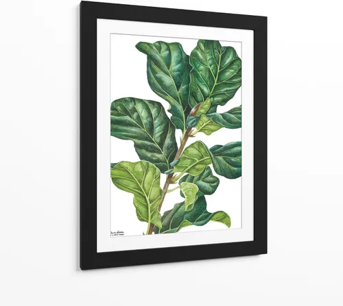 Vista 8 de Canvas Lab Lienzo decorativo para pared, Fiddle Ficus Lyrata del artista Blanca Aurora – Tamaño: 12 x 16 pulgadas – Tema: botánico, naturaleza