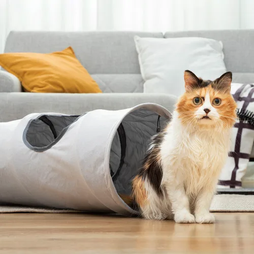 Vista 7 de Túnel Plegable para Mascotas Funnyl InnovaGoods