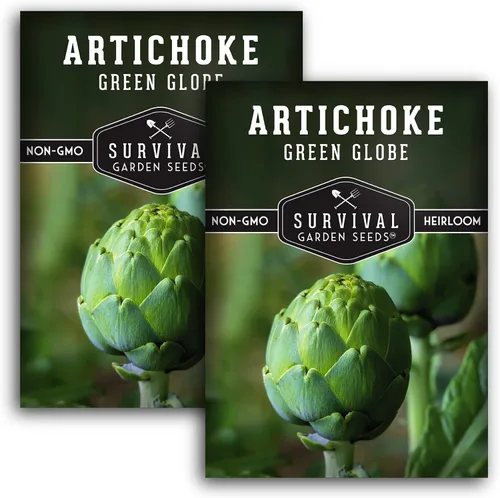 Vista 10 de 1 paquete de semillas de alcachofa Green Globe para plantar con instrucciones para cultivar Cynara Scolymus perenne en el huerto de tu hogar