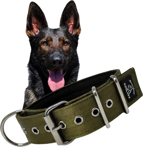Vista 22 de SparkDog - Collar de perro resistente de 1.5 pulgadas, correa ajustable de grado de cinturón de seguridad con herrajes de acero inoxidable
