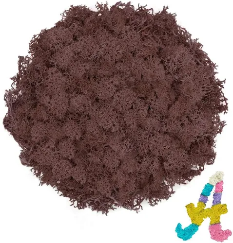 Vista 23 de Musgo de reno azul de 3.5 onzas, musgo preservado para plantas, decoración de musgo, musgo verde para manualidades, musgo para plantas en maceta