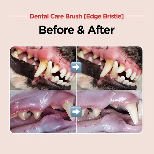 Vista 2 de JAYU PET Cepillo de Cuidado Dental (Cerdas de Borde) 1 unidad - Cepillo de Dientes para Perro con Cabeza Micro Redonda, Cepillo de Dientes