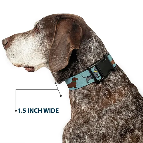 Vista 7 de Collar de perro Clip de plástico Dachshund 4 Perros Patas Aquas 9 a 15 pulgadas 1.0 pulgadas de ancho