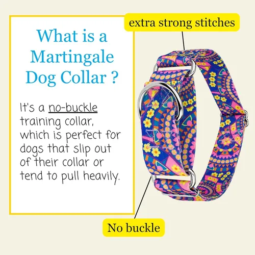 Vista 4 de Country Brook Petz - Collar para perro Martingala con mandala bohemio azul, colección Groovy con 12 diseños lejanos (1 1/2 pulgadas, mediano)
