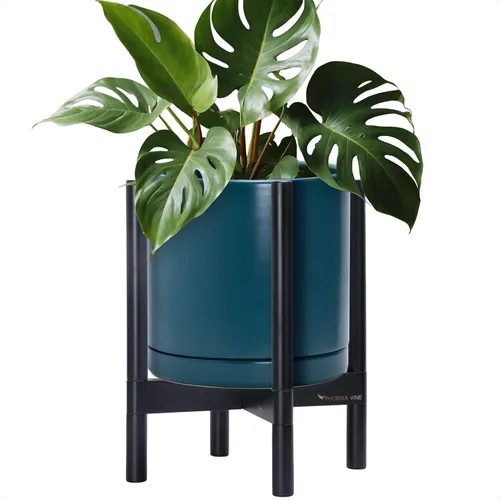 Vista 101 de D'vine Dev Maceta de cerámica con soporte de ébano – Maceta redonda moderna de 8 pulgadas con soporte para maceta de madera, color negro, 55-B-M-2