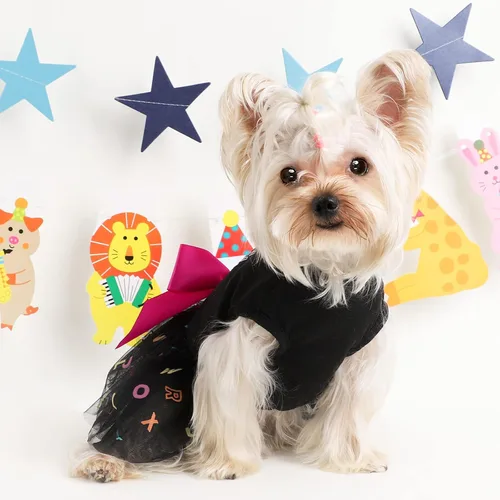 Vista 6 de Traje de cumpleaños para perro: vestidos coloridos de malla del alfabeto, tutú de verano, ropa para cachorros, XS, negro Cumpleaños negro