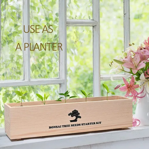 Vista 5 de Meekear Kit de árbol bonsái con kit completo de iniciación de crecimiento, gran regalo de bricolaje para cultivar en maceta para adultos