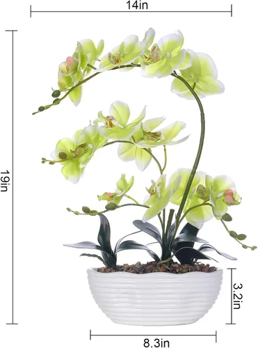 Vista 7 de Phalaenopsis - Planta de orquídea sintética de 19 pulgadas de alto, centro de mesa de orquídea de seda, arreglo floral artificial en maceta