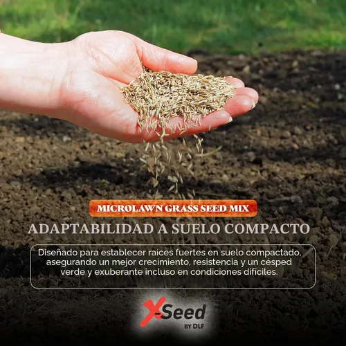 Vista 5 de X-Seed Microlawn - Mezcla de semillas de césped y microtrébol: césped denso autoalimentable, sol y sombra, elimina las malas hierbas, alto tráfico
