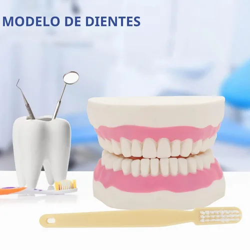 Vista 2 de Modelo de demostración dental de dientes gigantes con cepillo de dientes, modelo de boca de tamaño estándar ampliado 6 veces, modelo de enseñanza