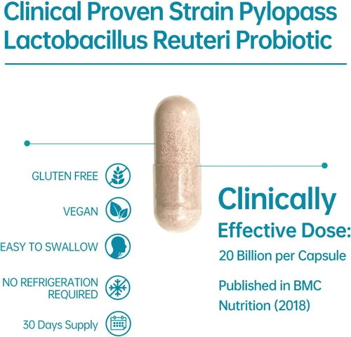 Vista 4 de purmeo Probióticos 5 en 1 de alta potencia H. Pylori, 1 por día, soporte gástrico, comodidad digestiva y protección del revestimiento estomacal