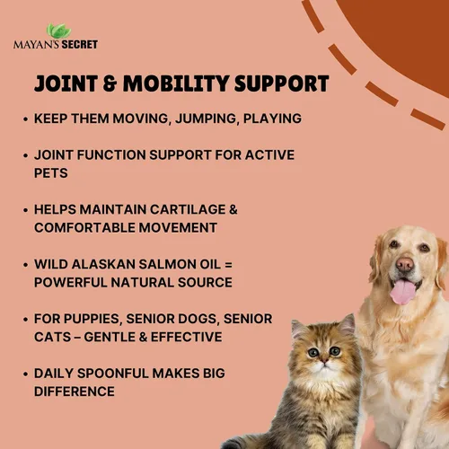 Vista 5 de Aceite de salmón puro de Alaska salvaje para perros y gatos – Apoya la función de las articulaciones, el sistema inmunológico y la salud del corazón