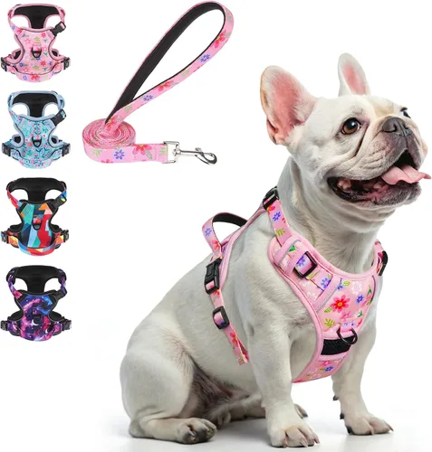 Vista 27 de BEAUTYZOO Arnés para perro sin tirones pequeño, juego de arnés y correa ajustable para perro - Fácil de usar con 3 hebillas/mango de control, arnés