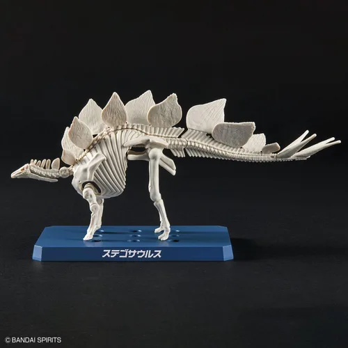 Vista 7 de Bandai Hobby - Plannosaurus - #03 Stegosaurus, kit de modelo de dinosaurio Bandai Spirits