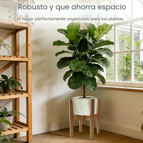Vista 7 de Soporte de bambú natural para interiores, estante ajustable para plantas de interior que se adapta a macetas de 8 a 12 pulgadas, decoración moderna