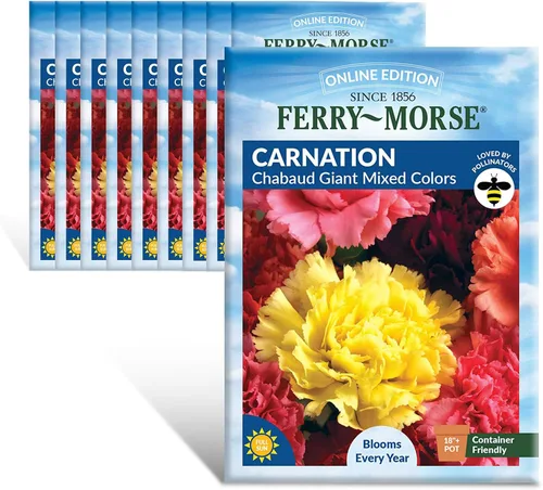 Vista 12 de Ferry-Morse Edición Online Bean Blue Lake Bush 274 Semillas Orgánicas Multipack – Paquete de 8