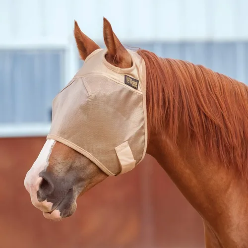 Vista 2 de CASHEL MASCARILLA Economy Standard Horse Mosca, Oro, Caballo