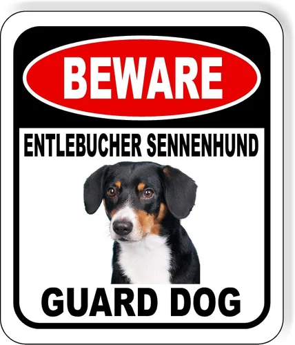 Vista 78 de BEWARE BASSETT HOUND GUARD DOG - Letrero compuesto de aluminio para exteriores, 8.5 x 10 pulgadas CUIDADO BASSETT HOUND GUARD PERRO