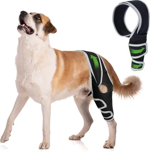 Vista 11 de Rodillera para perros pequeños, estabilidad de rodilla y soporte activo, talla S Provides comfortable knee support for dogs with joint weakness