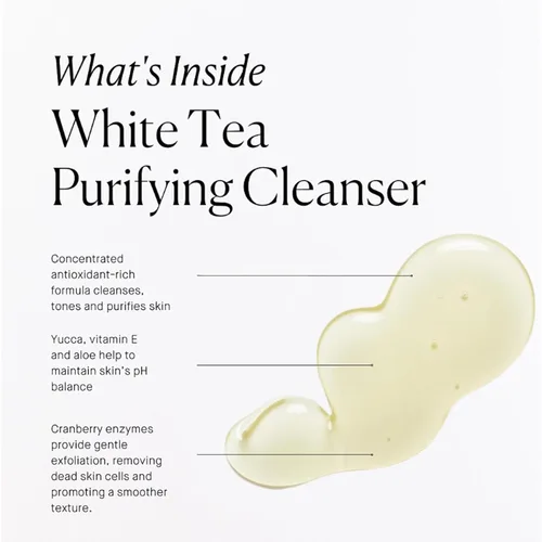 Vista 2 de ARCONA Limpiador purificador a base de agua de té blanco para pieles sensibles, lavado facial suave para mujeres, lavado facial exfoliante