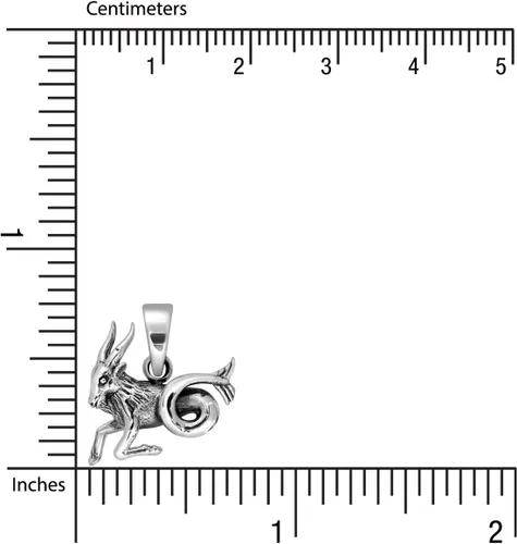 Vista 5 de WithLoveSilver - Colgante de plata de ley 925, horóscopo del zodiaco, signo de Capricornio, la cabra marina (22 de diciembre al 20 de enero), Plata