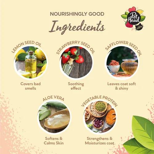 Vista 5 de Pet Head Felin' Good Cat - Espuma sin enjuague, aroma afrutado con aloe vera, champú seco para gatos malolientes, vegano, seguro para lamidas