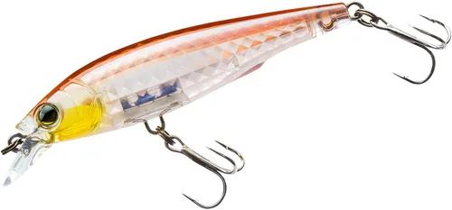 Vista 9 de YO-Zuri 3DR-X Jerkbait