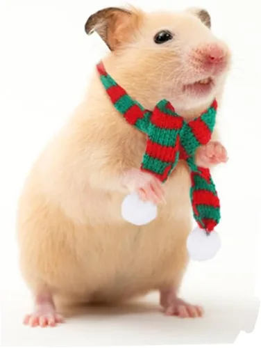 Vista 8 de Juego de 5 piezas de hámster para masticar, árbol de madera, decoración de hábitat, sombrero de Navidad para chinchillas de animales pequeños